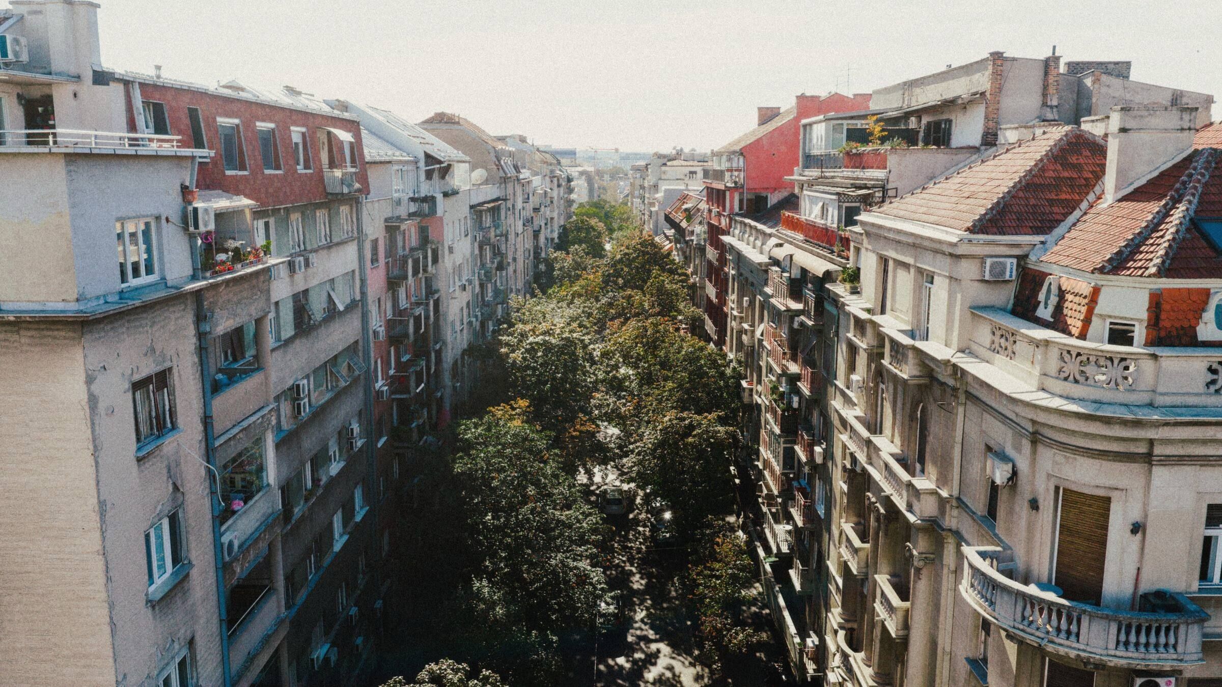 Pogled odozgo na beogradsku ulicu sa drvoredom i starim stambenim zgradama.